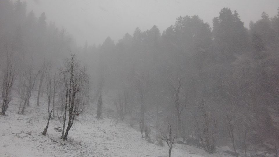 Photo of Like nothing I’ve seen by Roopkishor Singh