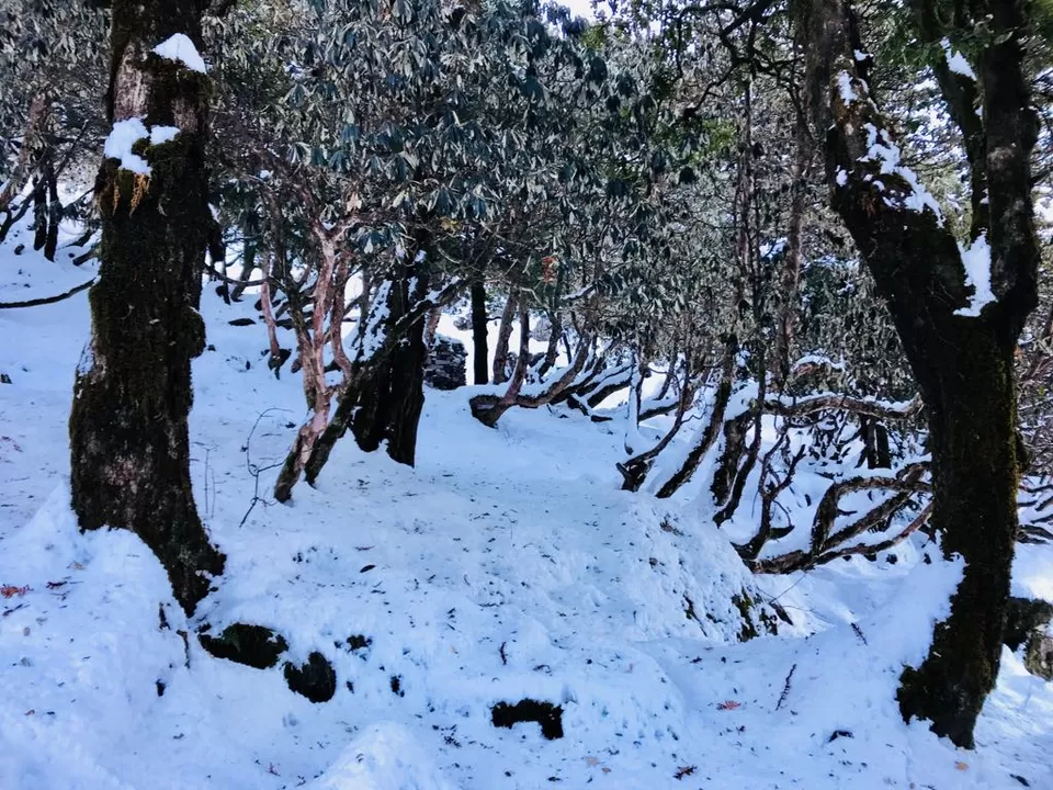 Photo of Life is better in hiking boots. by Roopkishor Singh