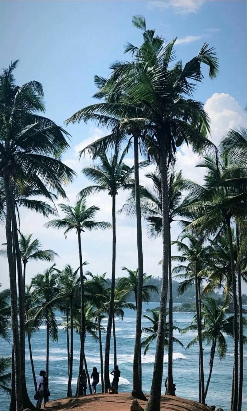 Photo of Sri Lanka by Roopkishor Singh