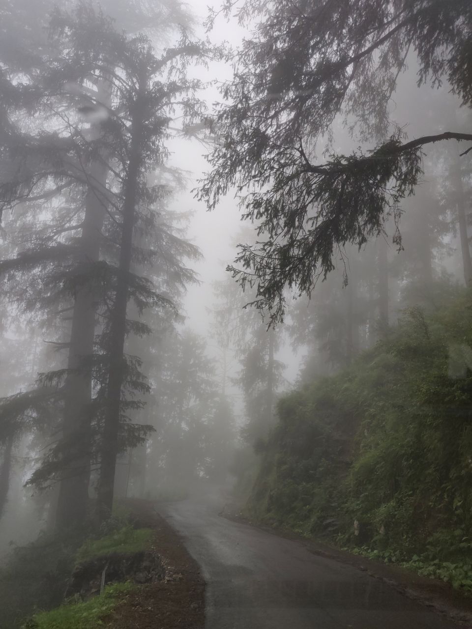 Photo of A trip to Ooty Landed us to Amritsar by Karishma Patel