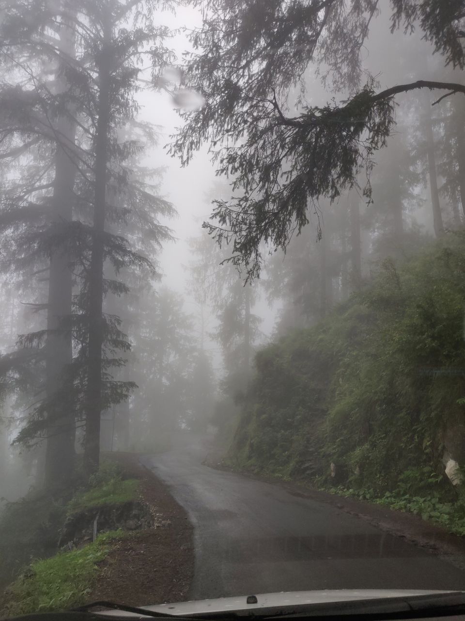 Photo of A trip to Ooty Landed us to Amritsar by Karishma Patel
