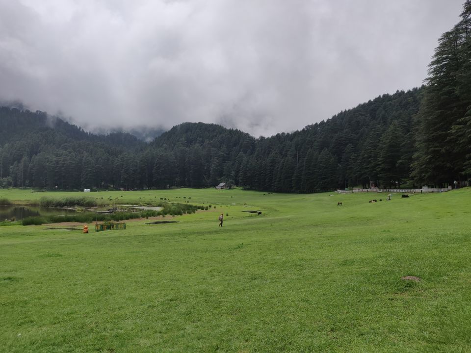 Photo of A trip to Ooty Landed us to Amritsar by Karishma Patel