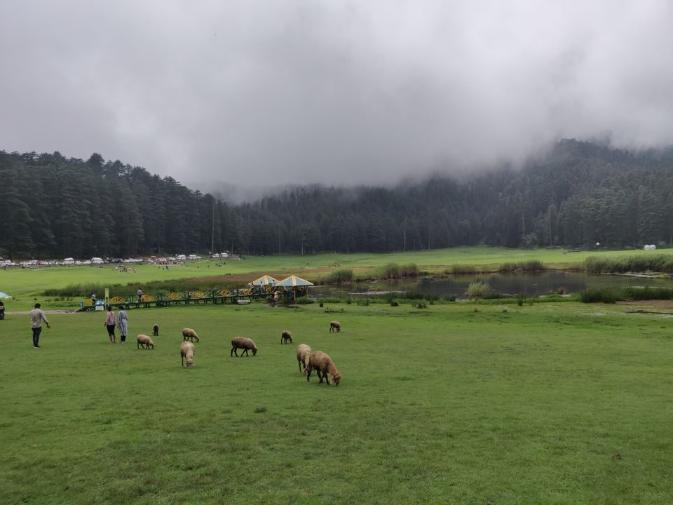 Photo of A trip to Ooty Landed us to Amritsar by Karishma Patel