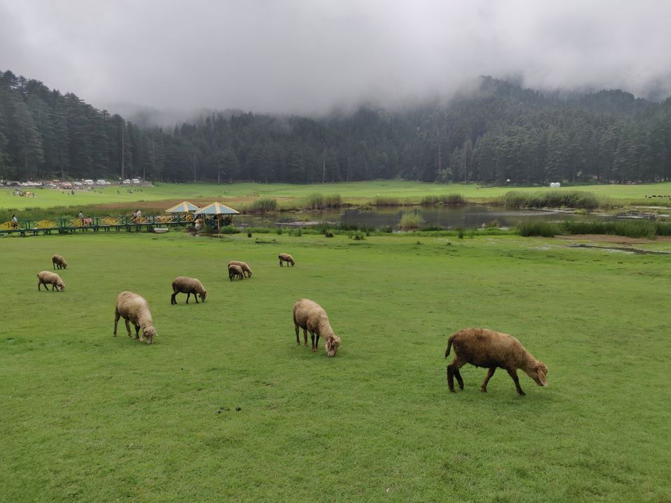 Photo of A trip to Ooty Landed us to Amritsar by Karishma Patel