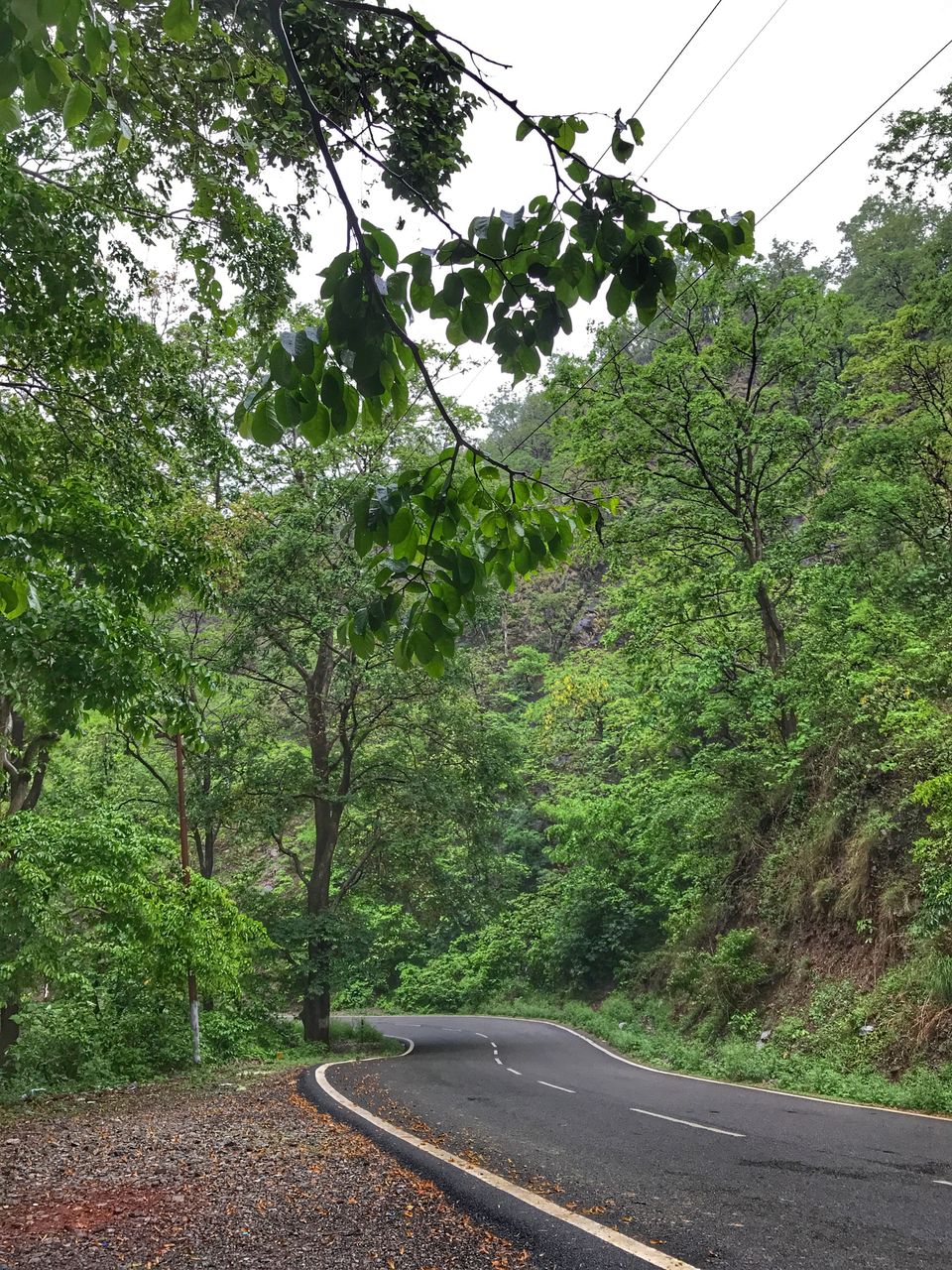 Photo of Rishikesh : Spiritual Adventure by Isha Anandpura