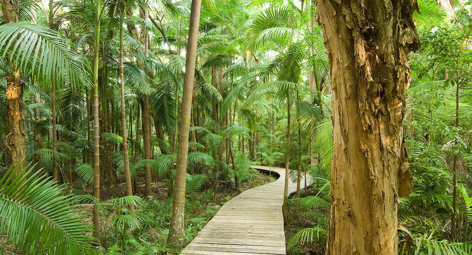 Photo of Escape the world in Sydney at these Glamping locations 15/15 by Isha Anandpura