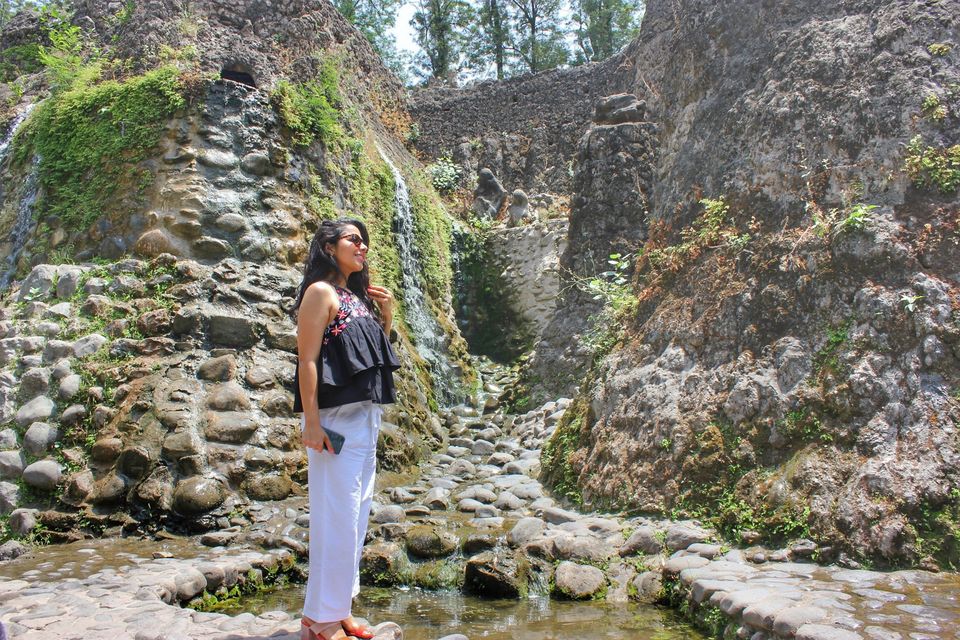 Photo of Chandigarh Trip 6/10 by Isha Anandpura