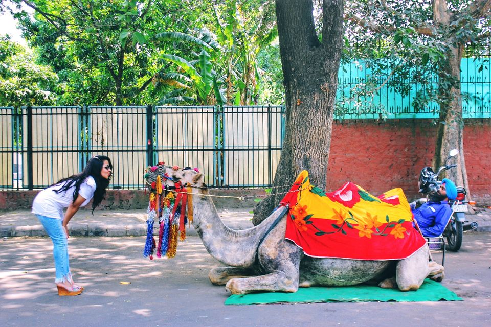 Photo of Chandigarh Trip by Isha Anandpura
