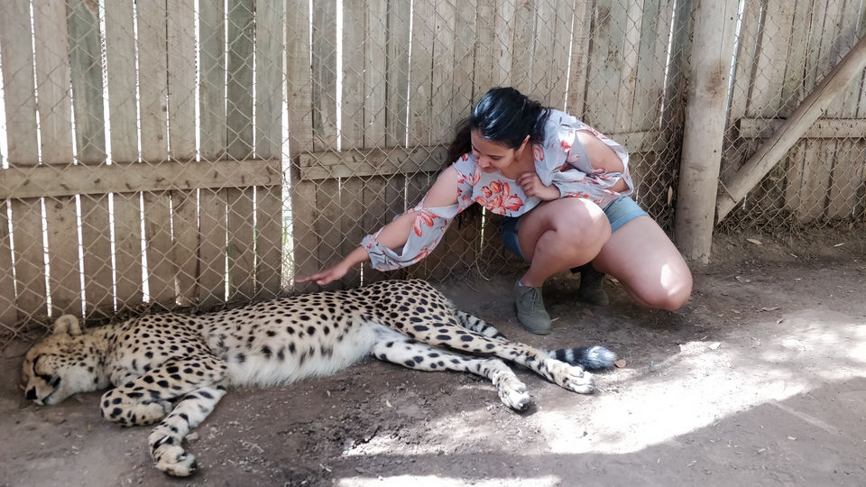 Photo of Cango Wildlife Ranch, Baron Van Reede Street, Oudtshoorn, South Africa by Anu(Magical_escapes101)