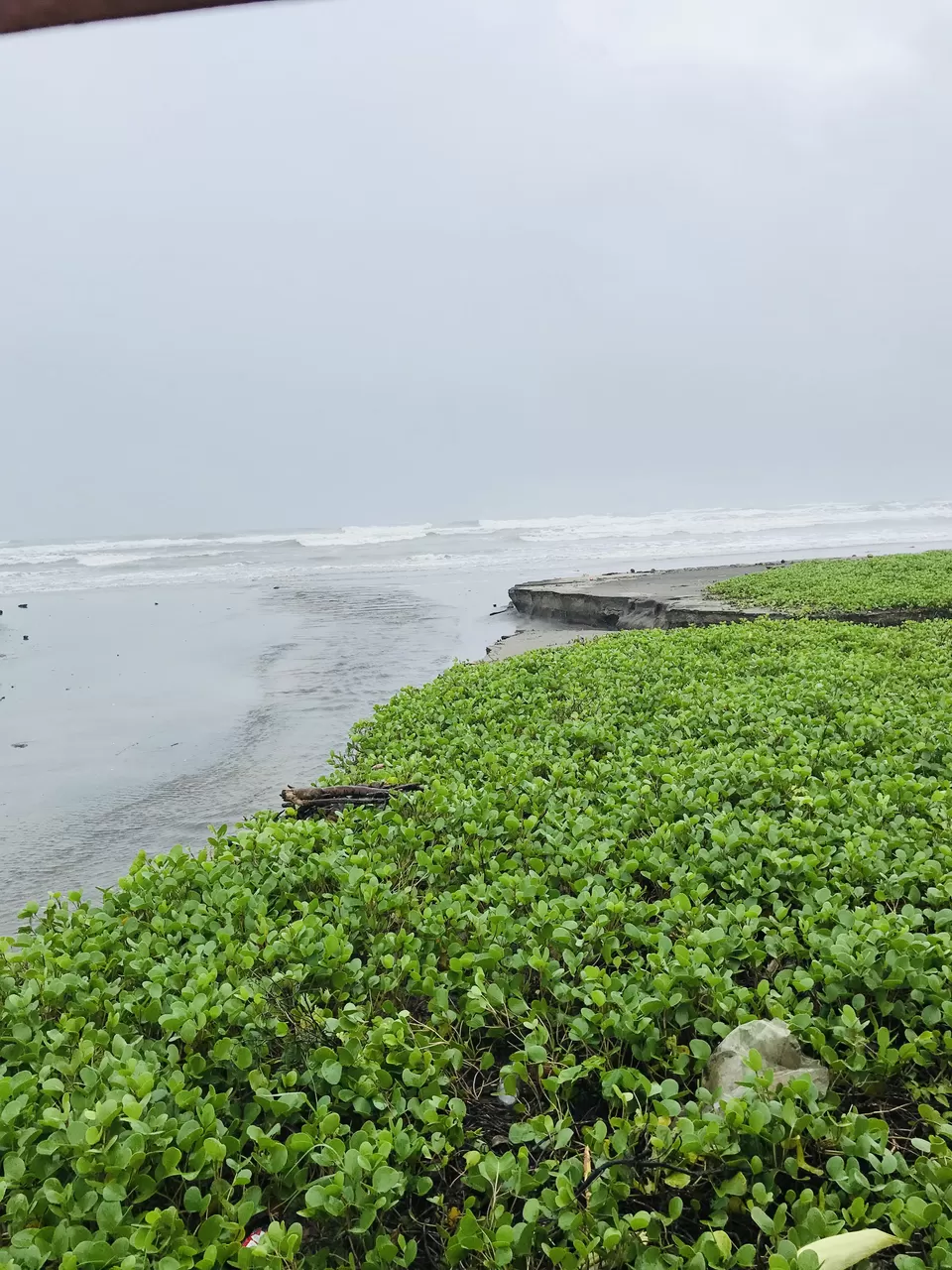 Photo of Morjim Beach, Morjim, Goa, India by Anu(Magical_escapes101)