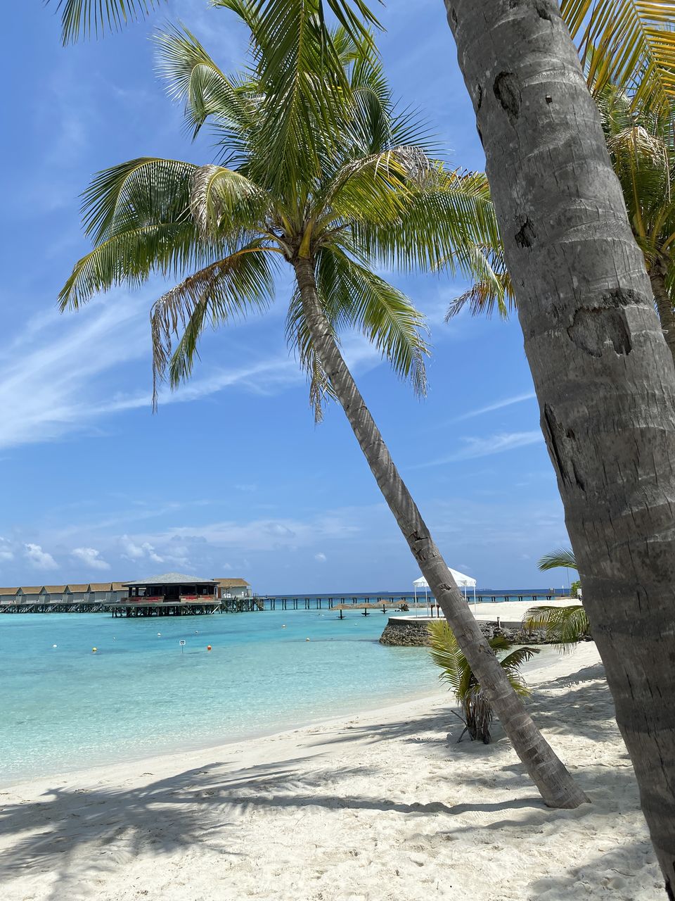 Photo of 4 Days Honeymoon Itinerary to Maldives|The Most Exotic Honeymoon Destination|Prices, Tips & Tricks 1/2 by Anu(Magical_escapes101)