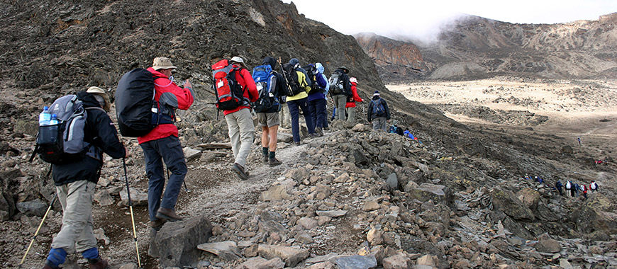 Photo of 6 DAY KILIMANJARO TREKKING TOUR + 2 NIGHTS HOTEL STAY 1/2 by DESIRE SAFARIS