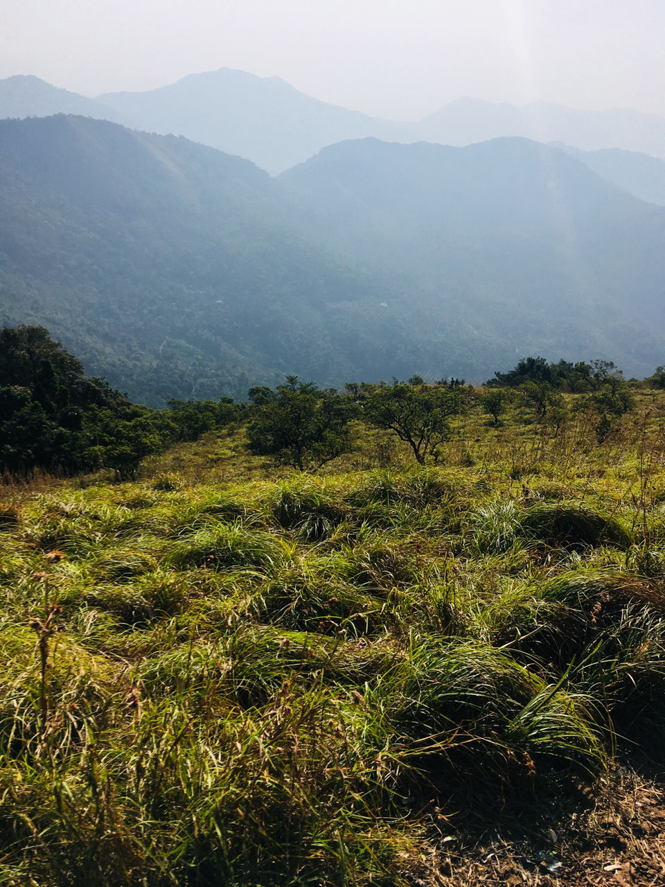 Photo of Paithalmala- A Little Heaven(Kerala) by Satyam jain