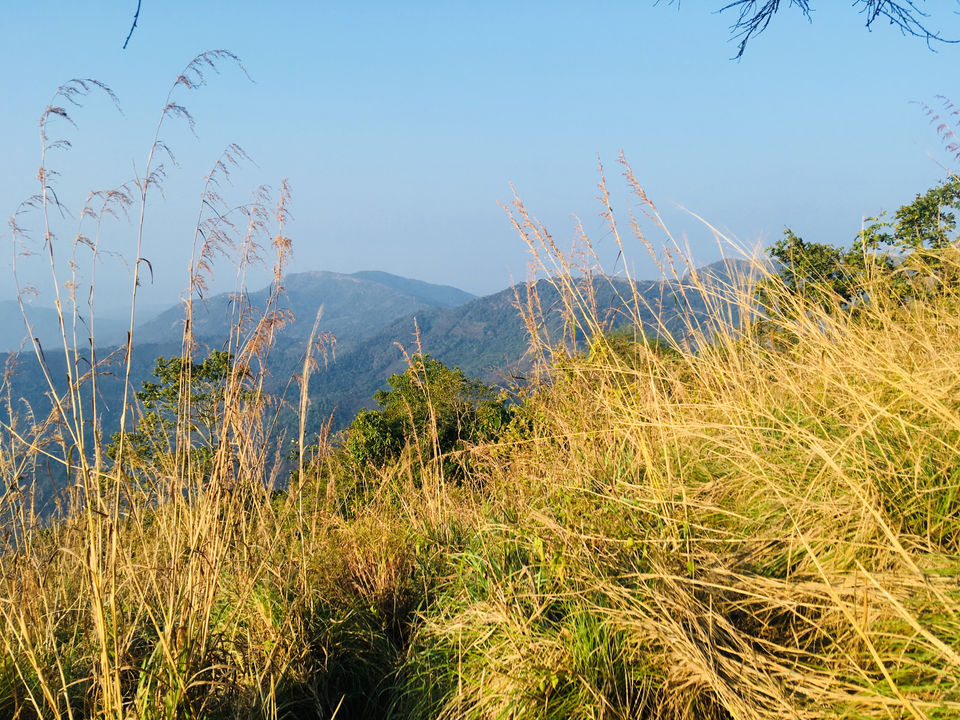 Photo of Paithalmala- A Little Heaven(Kerala) by Satyam jain