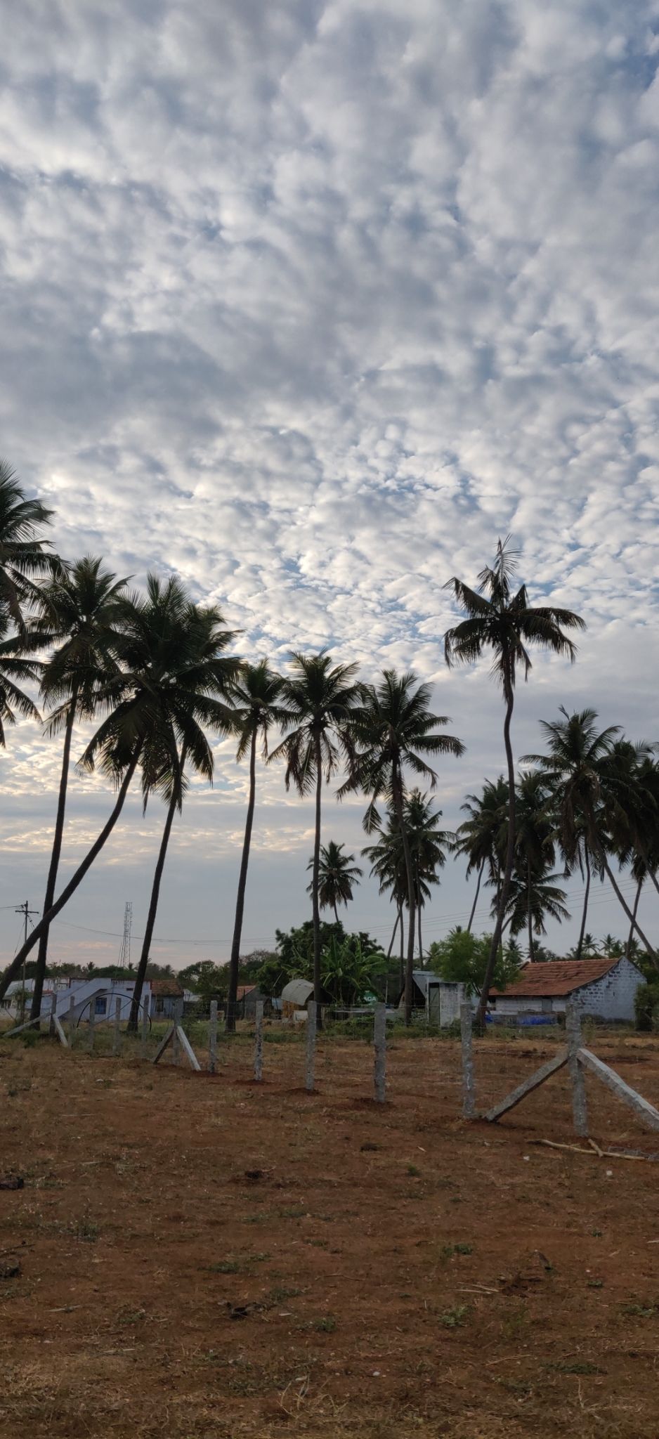 Photo of Bangalore, Karnataka, India by Satyam Jain