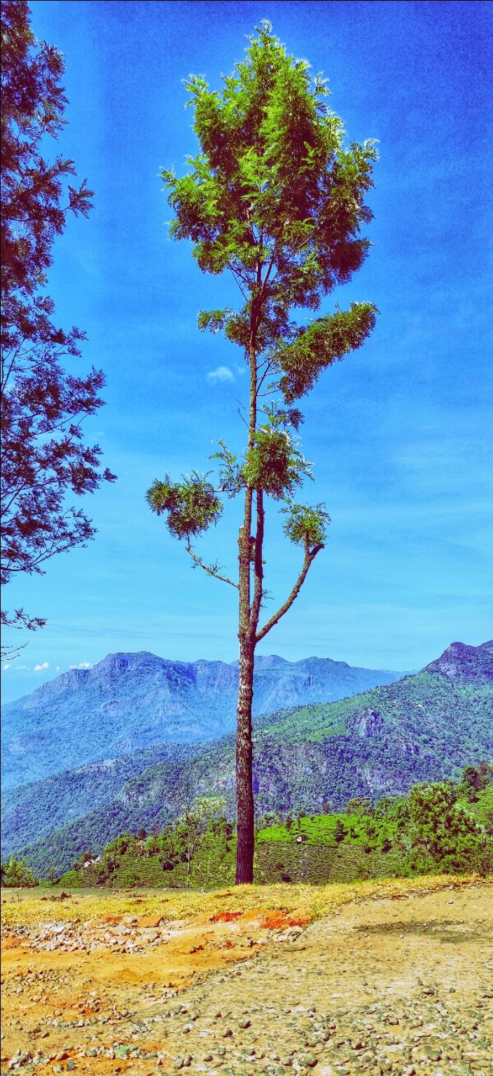 Photo of Kotagiri, Tamil Nadu, India by Satyam Jain