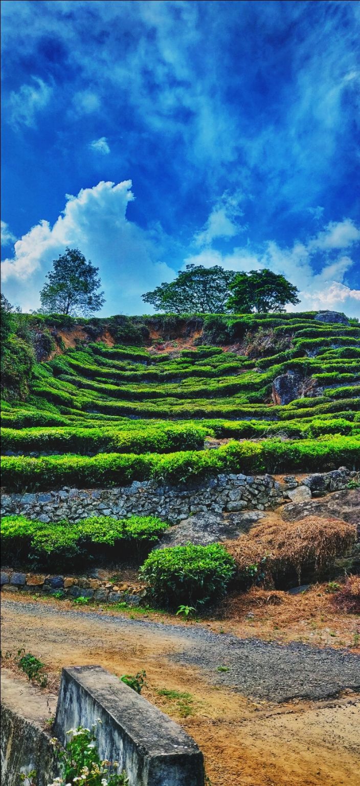 Photo of Kotagiri- Home to Nilgiri Mountains by Satyam Jain