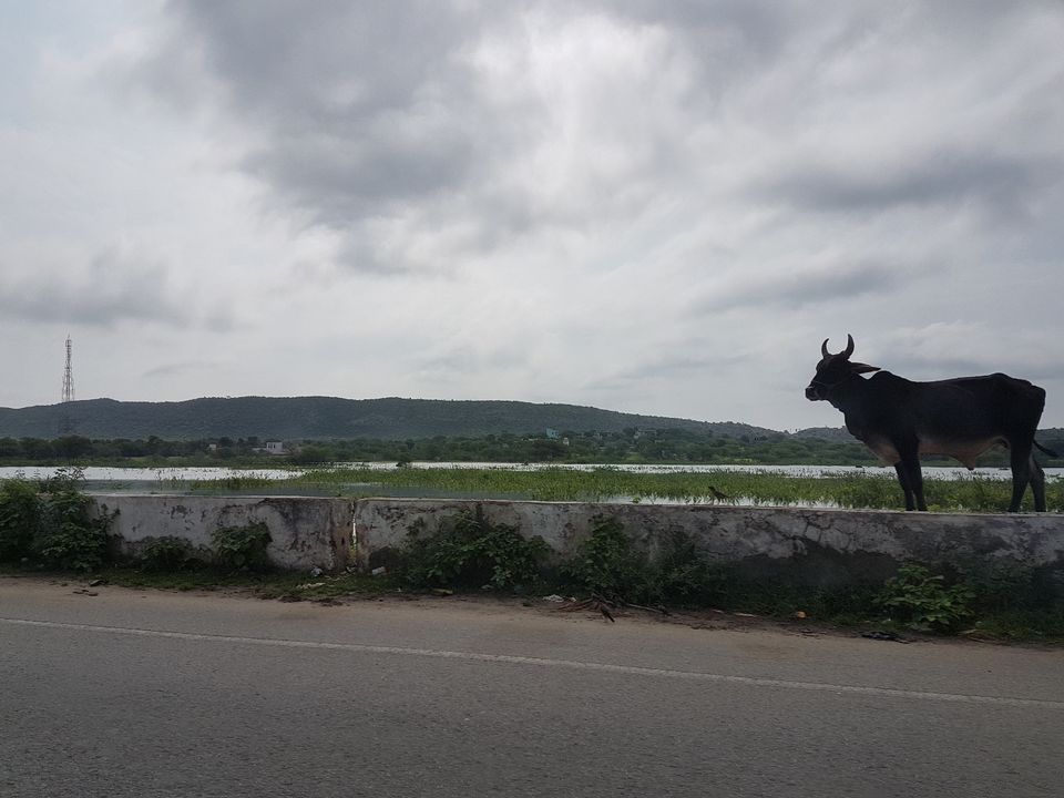 Photo of The Golden Quadrilateral, An Epic Ring Route Crossing 13 States of India - RoadTrip 7/53 by Tripanians