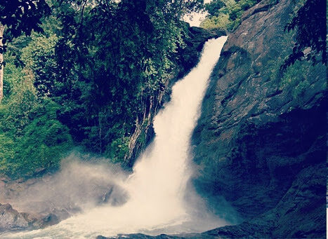 Photo of Soochipara Waterfalls, Wayanad, Kerala, India by Tripanians