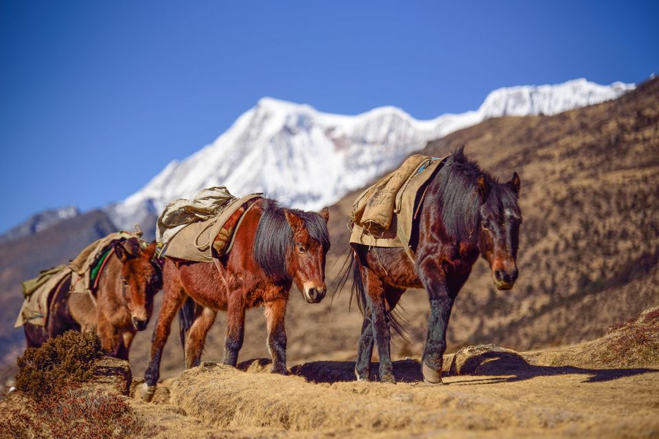 Photo of The Happiest Place on Earth: Bhutan by Trail Boutique
