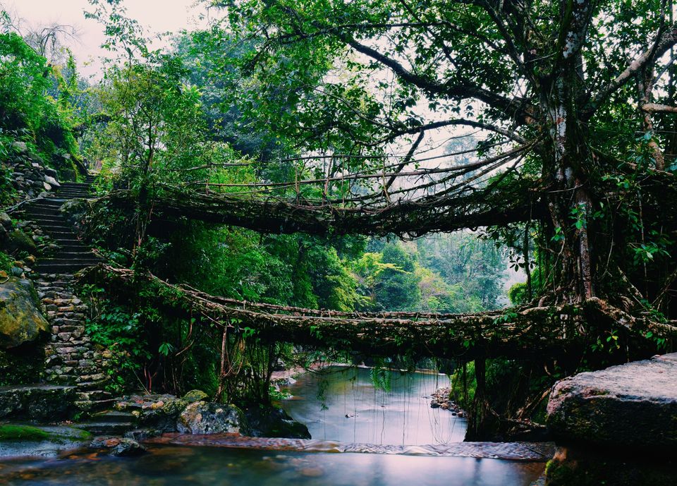 Photo of Meghalaya: An Otherworldy Experience 1/2 by Trail Boutique