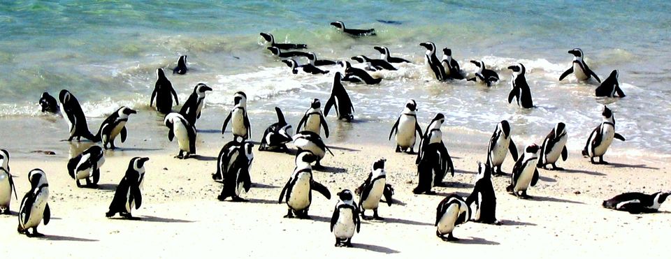 Photo of Sports with South-African landscapes 7/9 by Trail Boutique