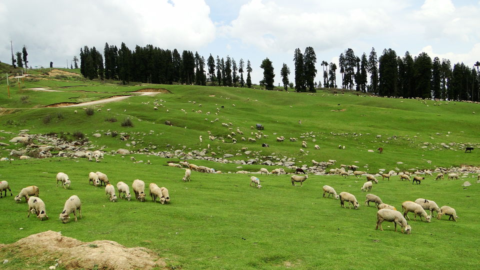 Photo of The Ultimate Kashmir Itinerary 8/8 by Trail Boutique