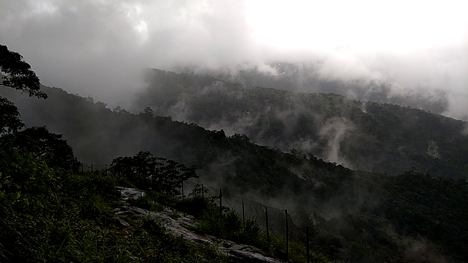 Photo of Sakleshpur 1/2 by Aditi Manjul