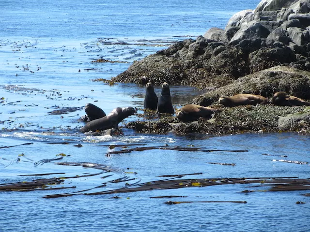 Photo of Beautiful British Columbia, Canada by Gypsea Trip