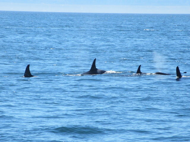 Photo of Beautiful British Columbia, Canada by Gypsea Trip
