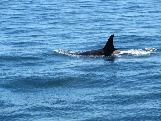 Photo of Beautiful British Columbia, Canada by Gypsea Trip