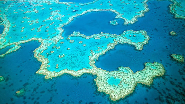 Photo of Cairns City, Queensland, Australia by Gypsea Trip