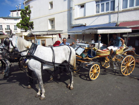 Photo of Istanbul - Turkish Delight by Gypsea Trip