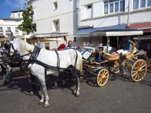 Photo of Istanbul - Turkish Delight by Gypsea Trip