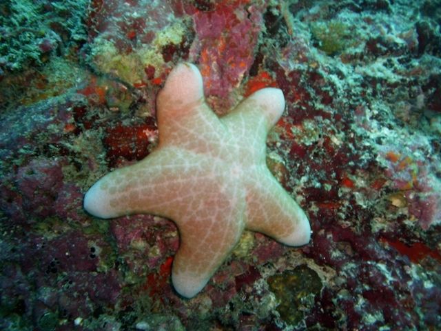 Photo of Budget Trip to Maldives! 13/14 by Gypsea Trip