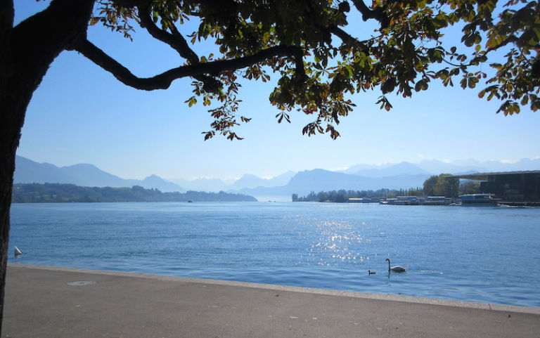 Photo of Scenic Switzerland by train 12/28 by Gypsea Trip