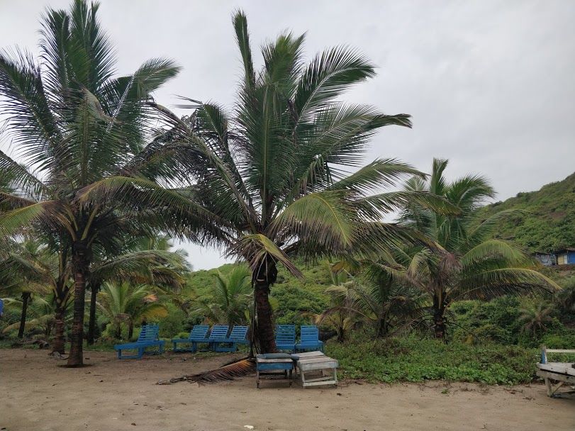 Photo of Monsoon and Beaches by Shreeya Dhapola