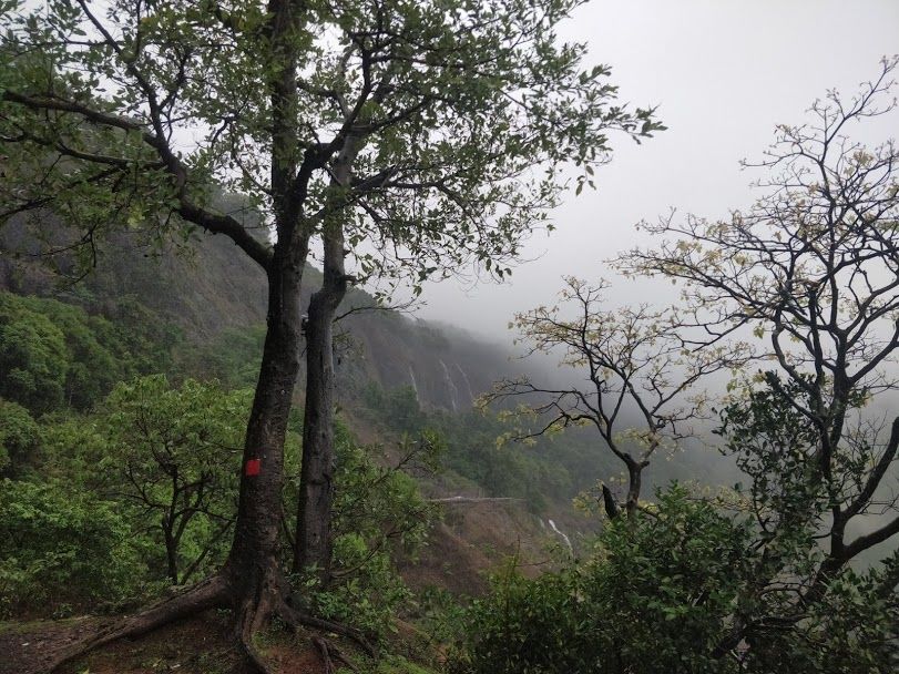Photo of Monsoon and Beaches by Shreeya Dhapola