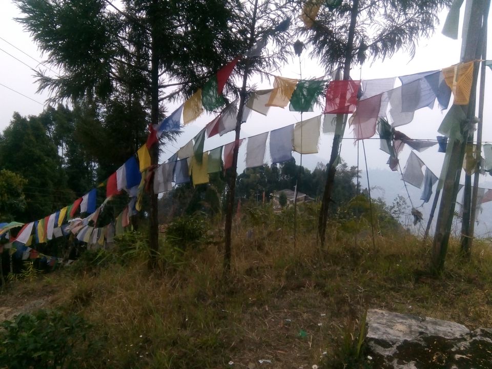 Photo of Two days in the arm of "Tranquil Tinchuley".. by Sayona Banerjee
