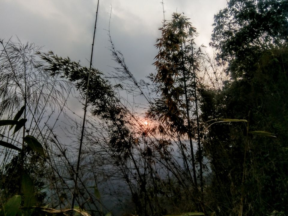 Photo of Two days in the arm of "Tranquil Tinchuley".. by Sayona Banerjee