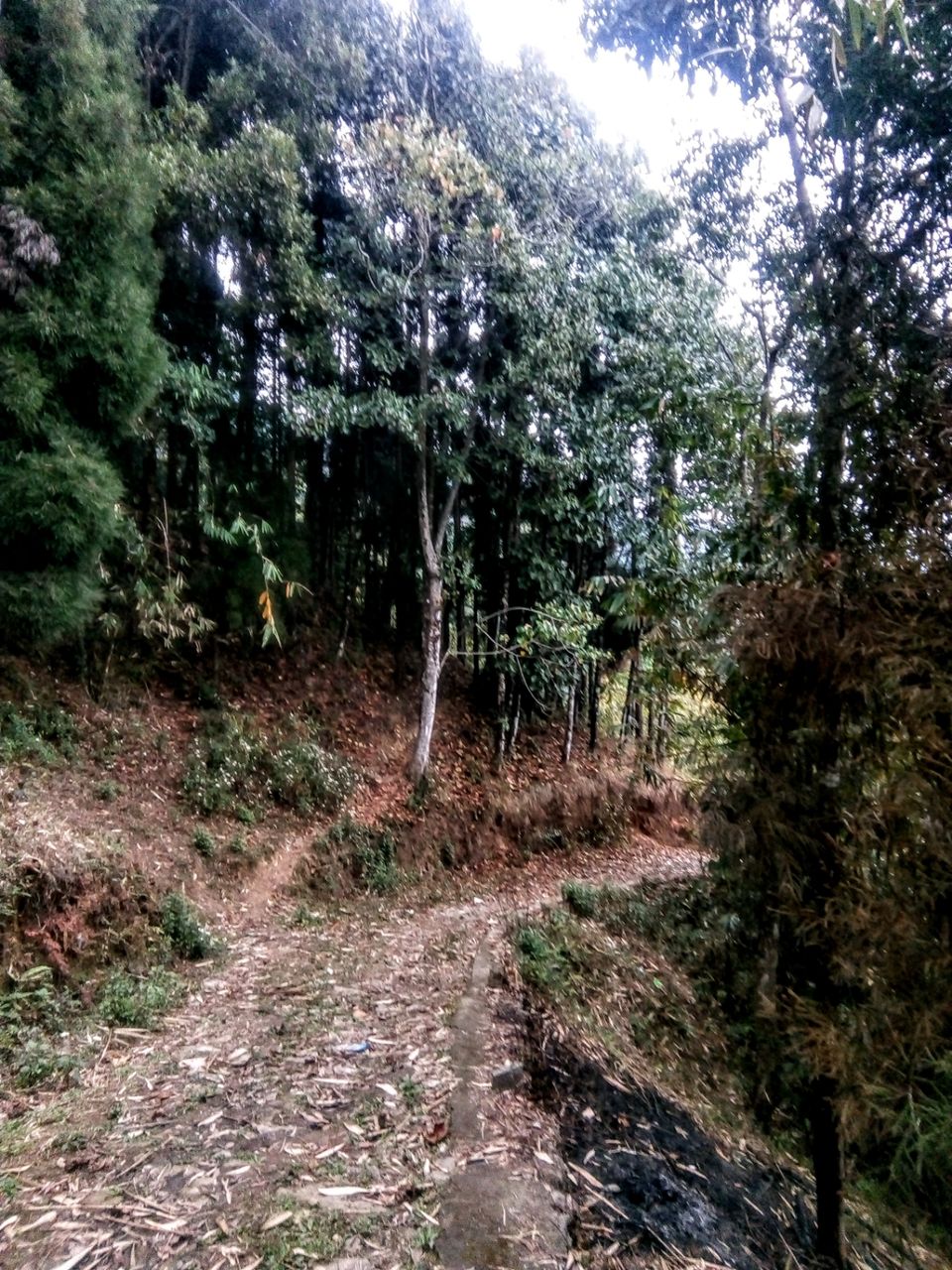 Photo of Two days in the arm of "Tranquil Tinchuley".. by Sayona Banerjee