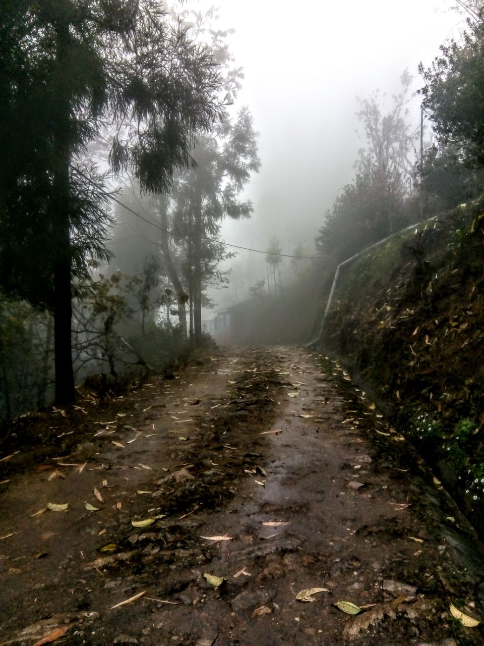 Photo of Two days in the arm of "Tranquil Tinchuley".. by Sayona Banerjee