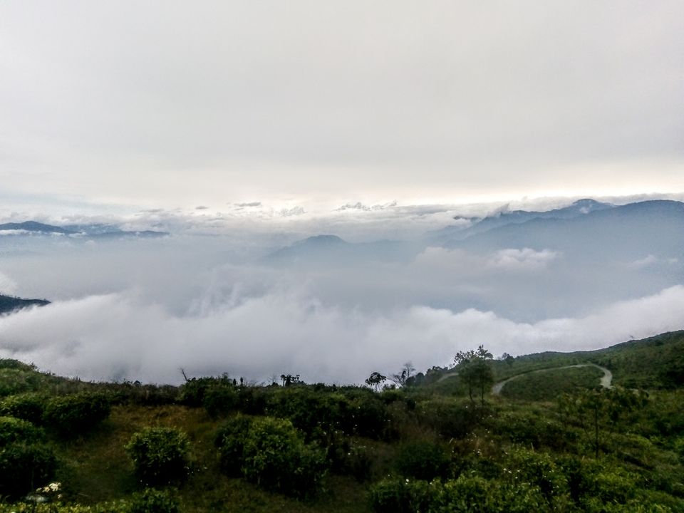 Photo of Two days in the arm of "Tranquil Tinchuley".. by Sayona Banerjee