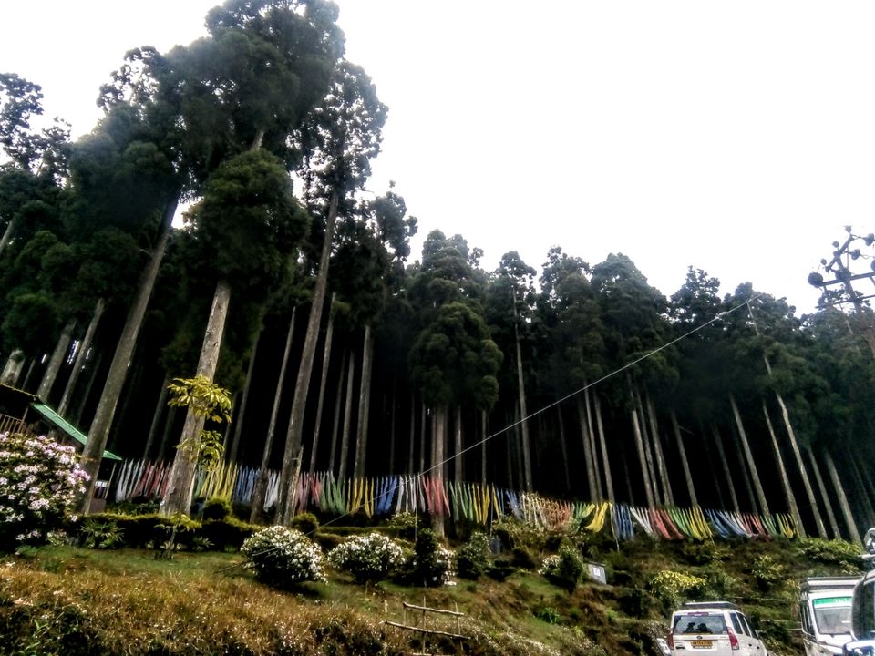 Photo of Two days in the arm of "Tranquil Tinchuley".. by Sayona Banerjee