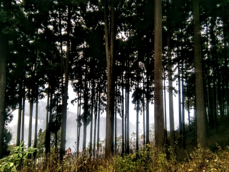 Photo of Two days in the arm of "Tranquil Tinchuley".. by Sayona Banerjee