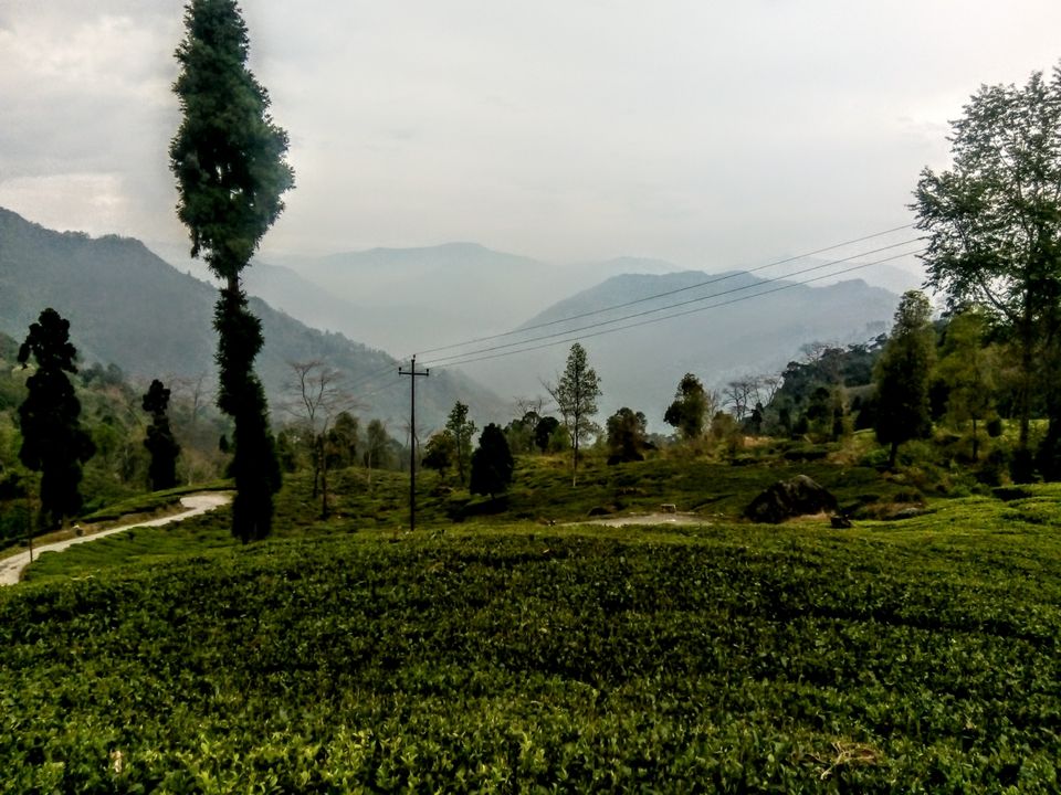 Photo of Two days in the arm of "Tranquil Tinchuley".. by Sayona Banerjee
