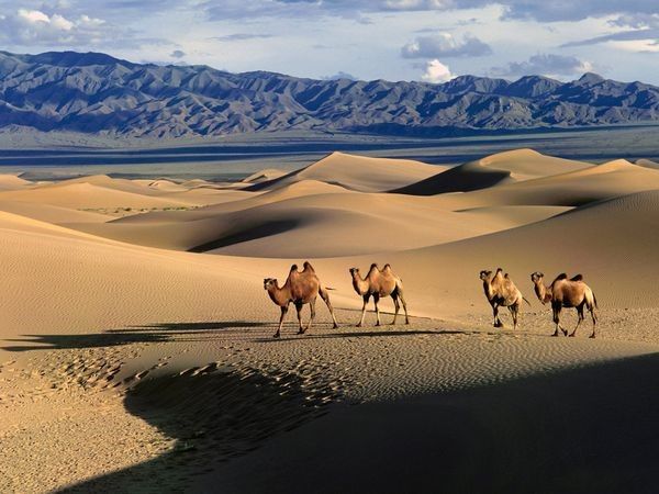 Photo of Go Back In Time In Mongolia 1/9 by Rohan Shetty