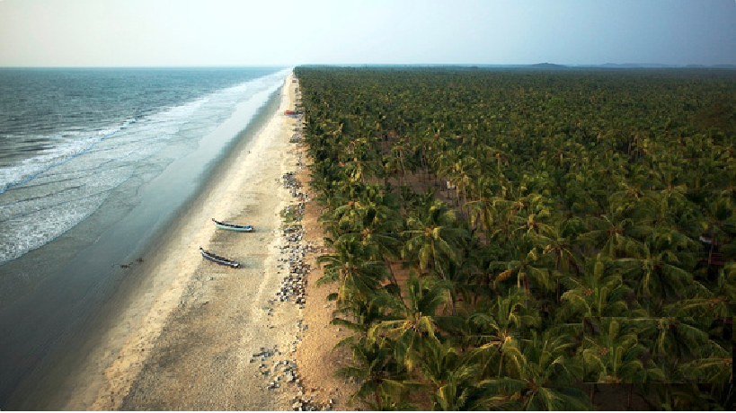 Photo of Colors of Kerala 3/10 by Rohan Shetty