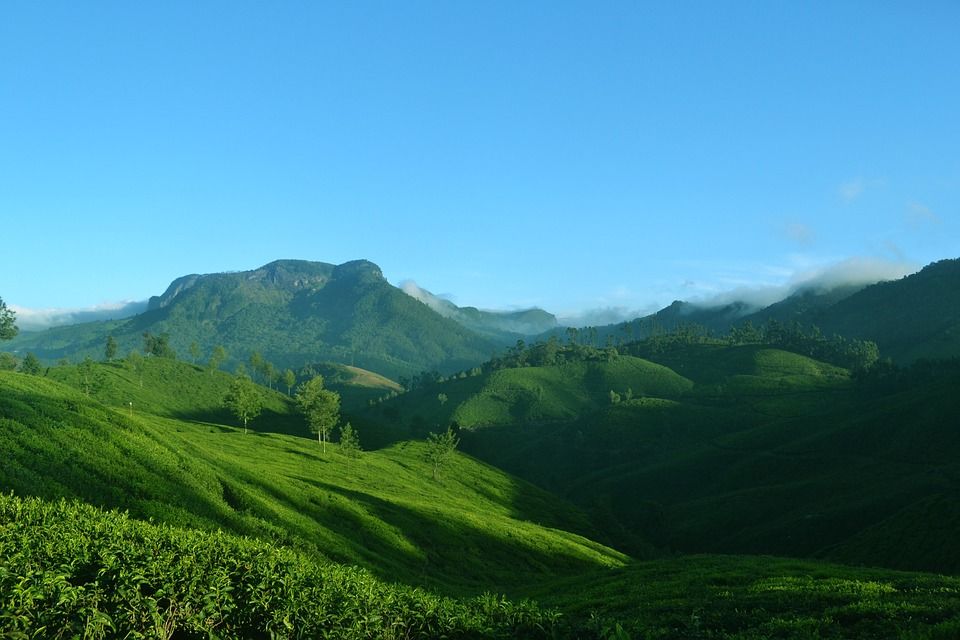 Photo of Colors of Kerala 4/10 by Rohan Shetty