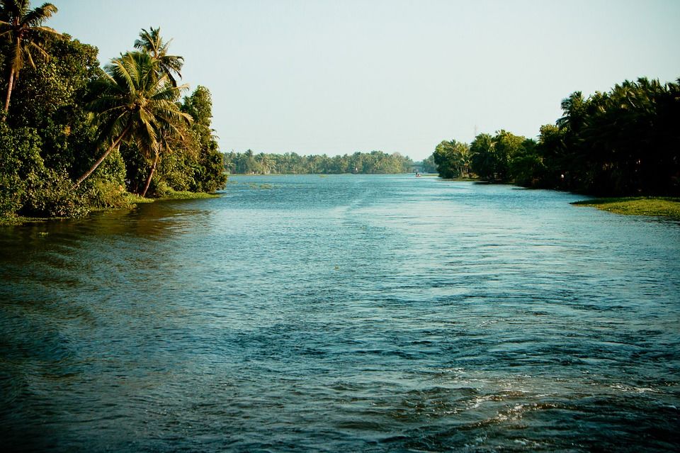 Photo of Colors of Kerala 6/10 by Rohan Shetty